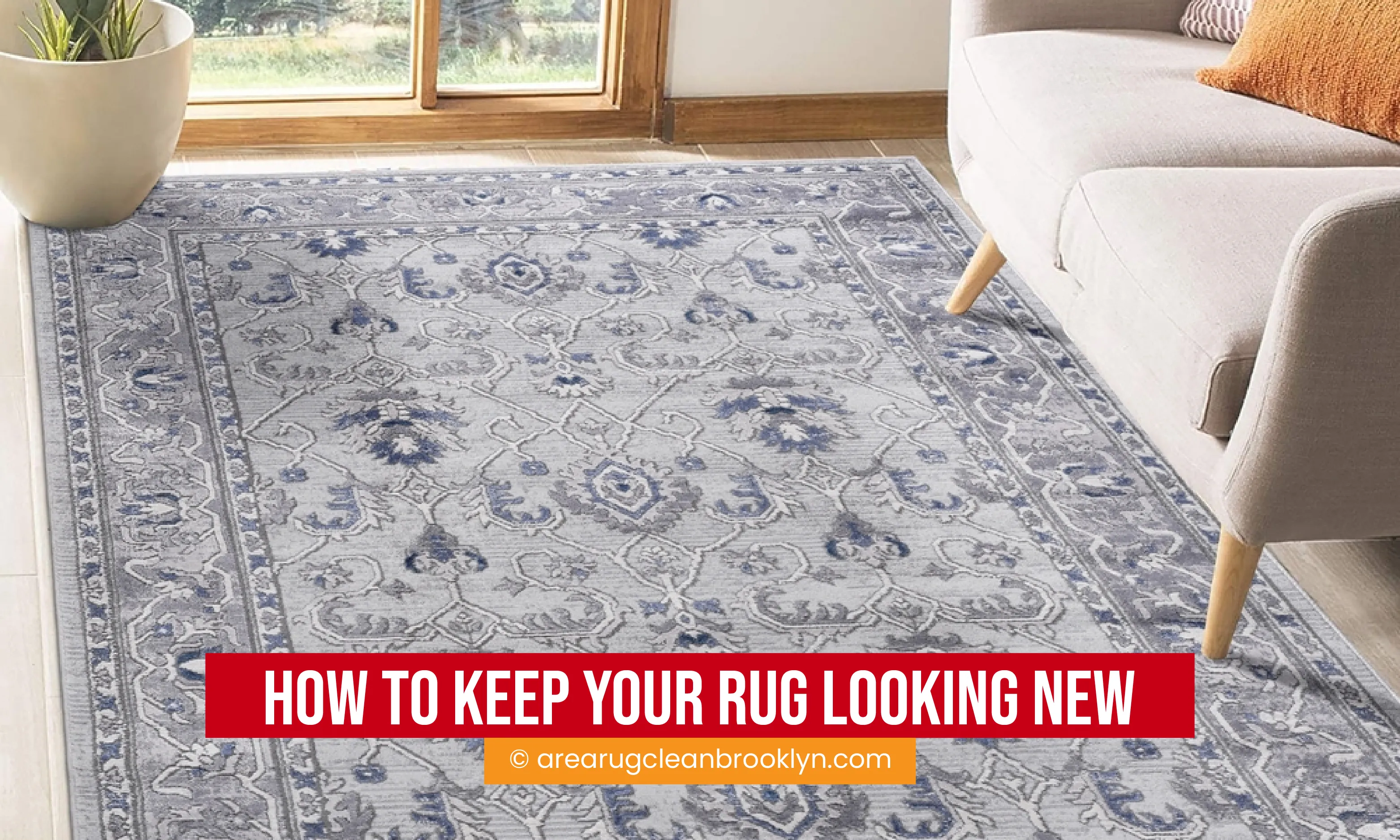 carpet cleaning in brooklyn, carpet cleaning brooklyn, carpet cleaners in brooklyn, carpet cleaners in brooklyn, commercial carpet cleaning, commercial carpet cleaning in brooklyn, brooklyn rug cleaners, rug cleaning services in brooklyn, same day carpet cleaning, same day rug cleaning in brooklyn