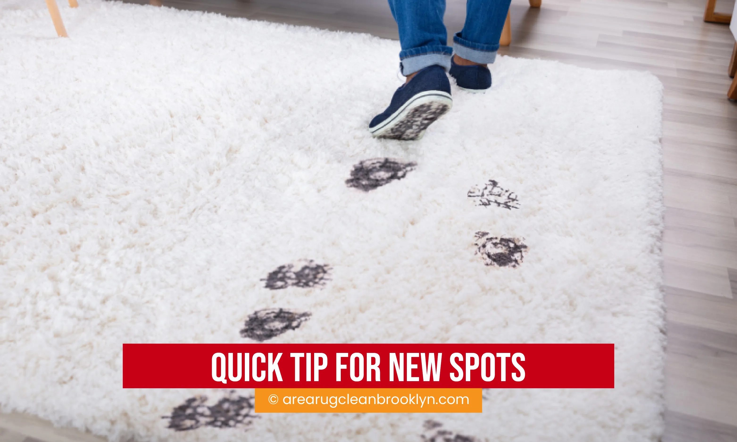 carpet cleaning in brooklyn, carpet cleaning brooklyn, carpet cleaners in brooklyn, carpet cleaners in brooklyn, commercial carpet cleaning, commercial carpet cleaning in brooklyn, brooklyn rug cleaners, rug cleaning services in brooklyn, same day carpet cleaning, same day rug cleaning in brooklyn