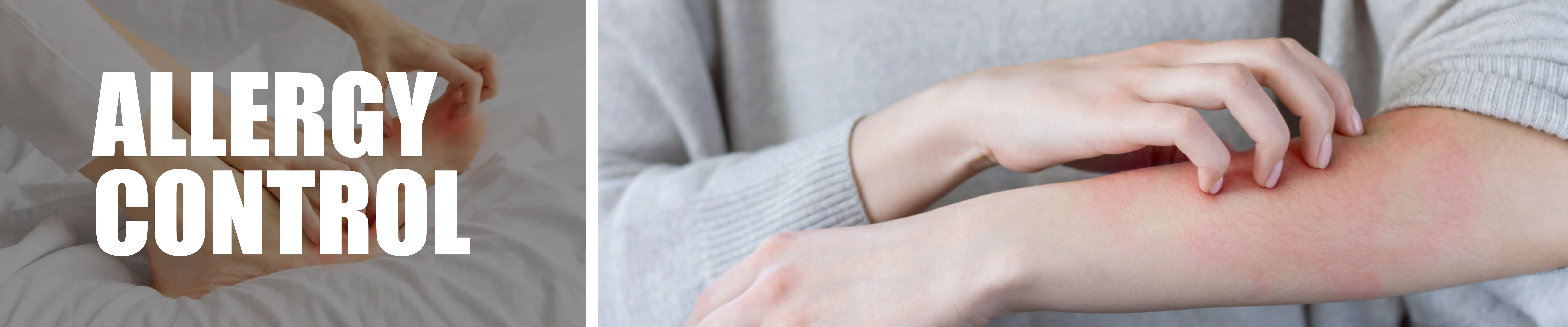 carpet cleaning in brooklyn, carpet cleaning brooklyn, carpet cleaners in brooklyn, carpet cleaners in brooklyn, commercial carpet cleaning, commercial carpet cleaning in brooklyn, brooklyn rug cleaners, rug cleaning services in brooklyn, same day carpet cleaning, same day rug cleaning in brooklyn