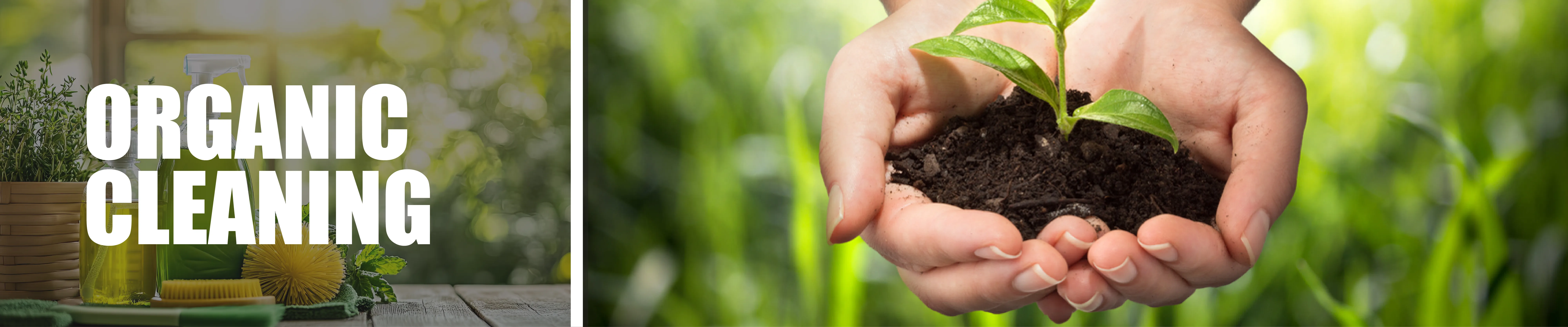 carpet cleaning in brooklyn, carpet cleaning brooklyn, carpet cleaners in brooklyn, carpet cleaners in brooklyn, commercial carpet cleaning, commercial carpet cleaning in brooklyn, brooklyn rug cleaners, rug cleaning services in brooklyn, same day carpet cleaning, same day rug cleaning in brooklyn