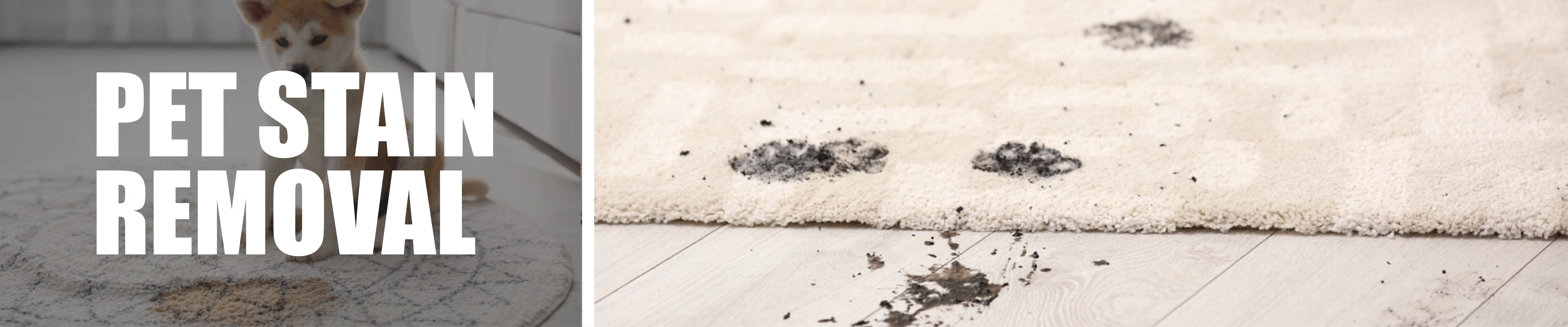 carpet cleaning in brooklyn, carpet cleaning brooklyn, carpet cleaners in brooklyn, carpet cleaners in brooklyn, commercial carpet cleaning, commercial carpet cleaning in brooklyn, brooklyn rug cleaners, rug cleaning services in brooklyn, same day carpet cleaning, same day rug cleaning in brooklyn