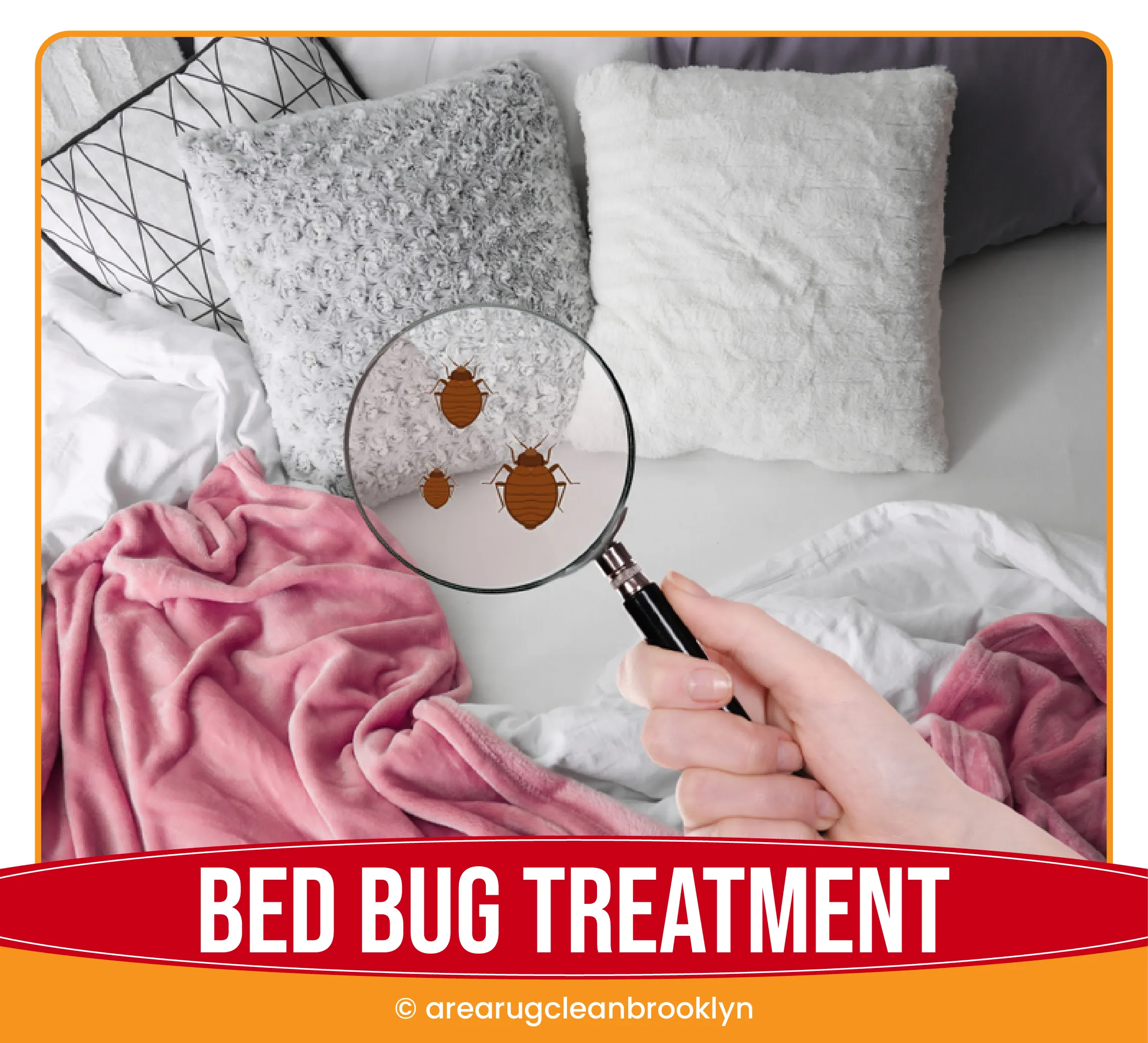 carpet cleaning in brooklyn, carpet cleaning brooklyn, carpet cleaners in brooklyn, carpet cleaners in brooklyn, commercial carpet cleaning, commercial carpet cleaning in brooklyn, brooklyn rug cleaners, rug cleaning services in brooklyn, same day carpet cleaning, same day rug cleaning in brooklyn