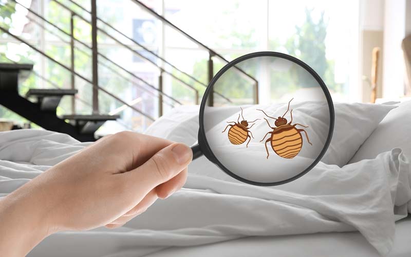 carpet cleaning in brooklyn, carpet cleaning brooklyn, carpet cleaners in brooklyn, carpet cleaners in brooklyn, commercial carpet cleaning, commercial carpet cleaning in brooklyn, brooklyn rug cleaners, rug cleaning services in brooklyn, same day carpet cleaning, same day rug cleaning in brooklyn